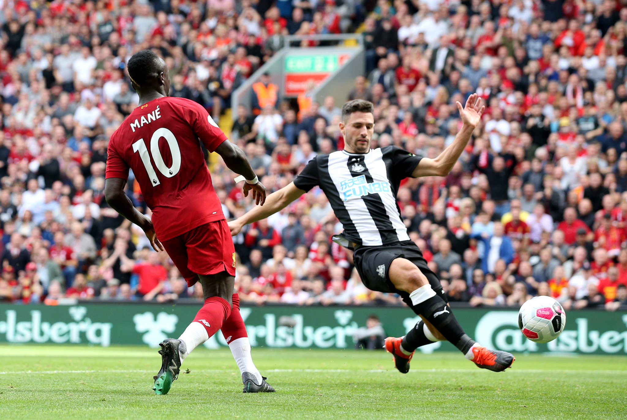 也为全球花 也为全球花